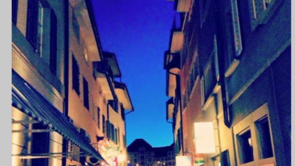 Linda'S Backpacker Zuerich City Zurich