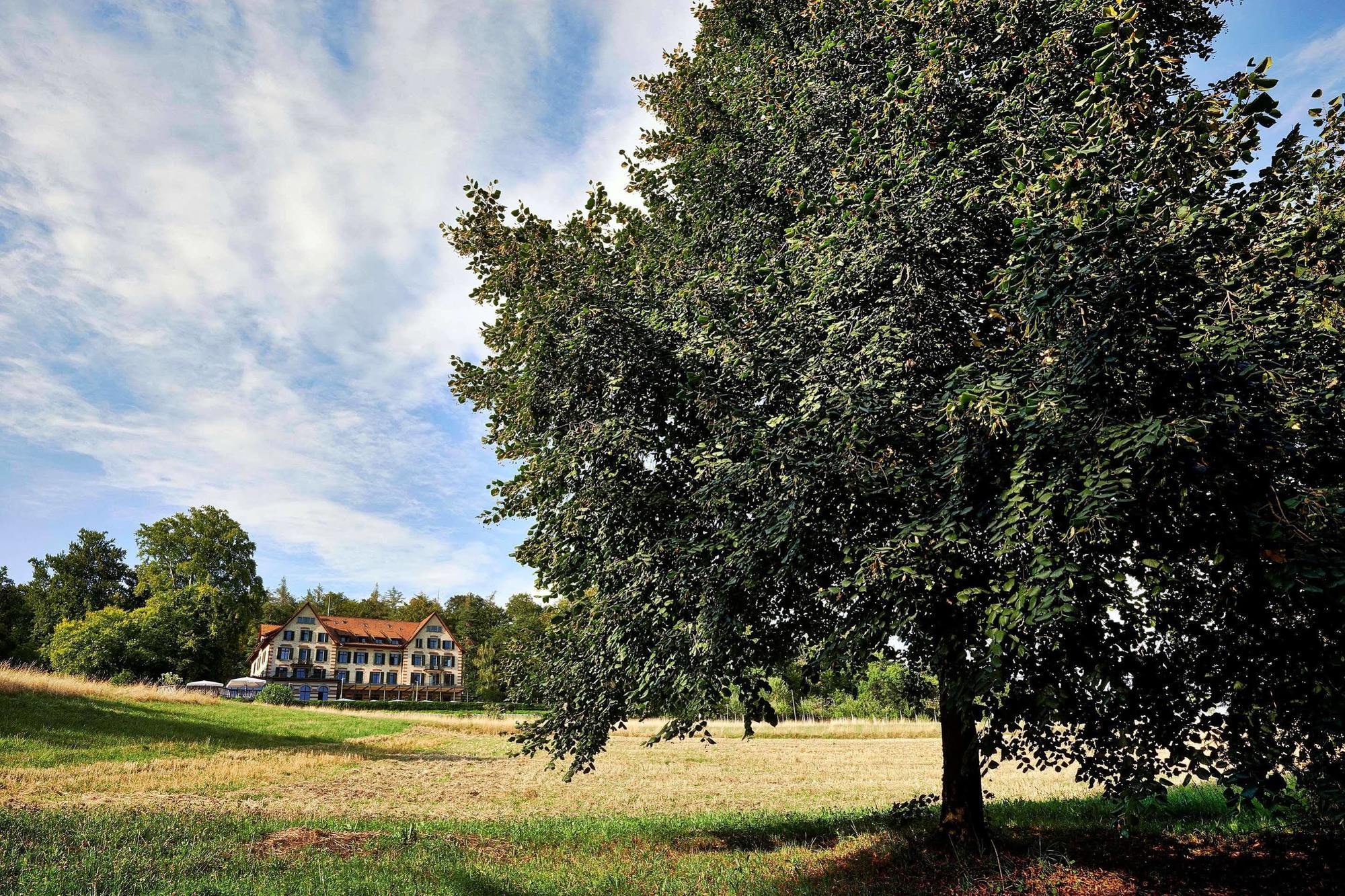 Sorell Boutique-hotel Zuerichberg Hotel Zurich