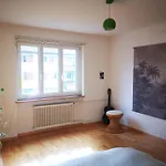 Lovely Room, Central Green Oasis