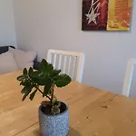 Room In Zuerich