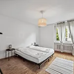 Chic Near Center Apartment Zurich