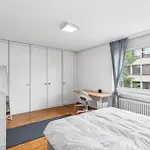 Apartment Chic Near Center Zurich
