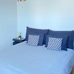 Studio Studio Fairview