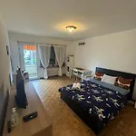 Studiowpalheta