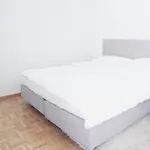 Charming Studio In The City Centre - Art 21