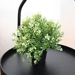 Minutes Walk From Google Hq City View