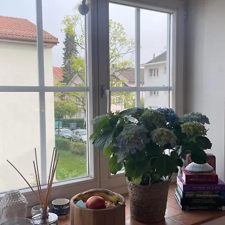 Taylor Swift - 20 Mins From Concert * Zurich