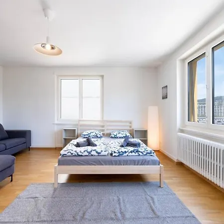 Apartment Comforting In Downtown With Skyline Views Zurich