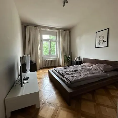 Cozy With Rooftop Apartment Zurich