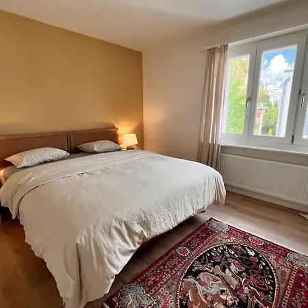 Apartment Modern Close To Train Station Oerlikon-201-16-