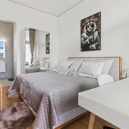 Business Penthouse Near Main Station Apartment Zurich