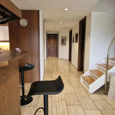 Apartment Penthouse With Jacuzzi, Sauna And Rooftop Zurich