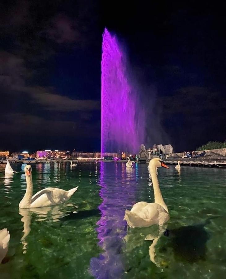 Homestay Lion Bb Swiss *