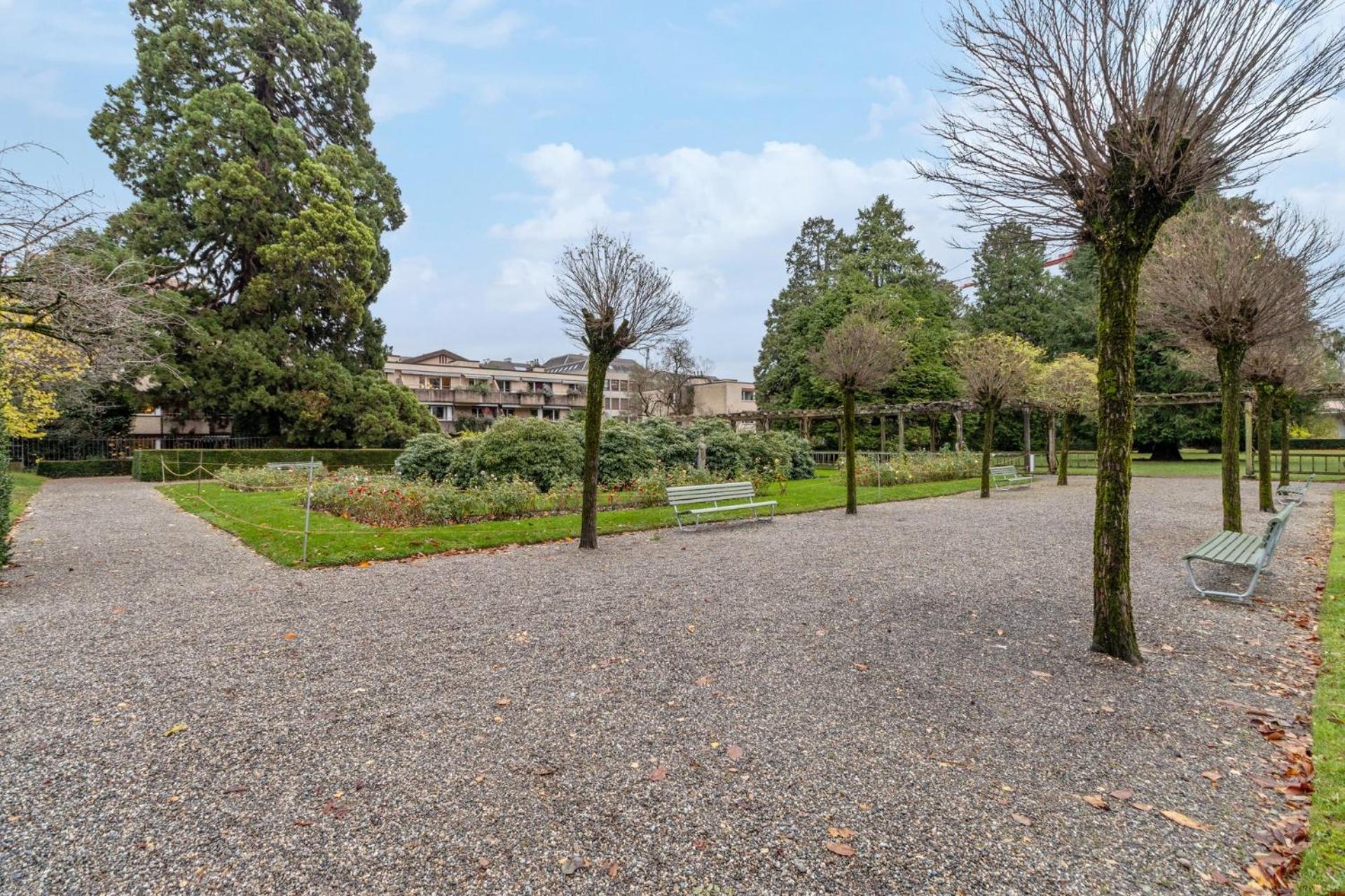 Your Cozy & Comfy Apartment Zurich