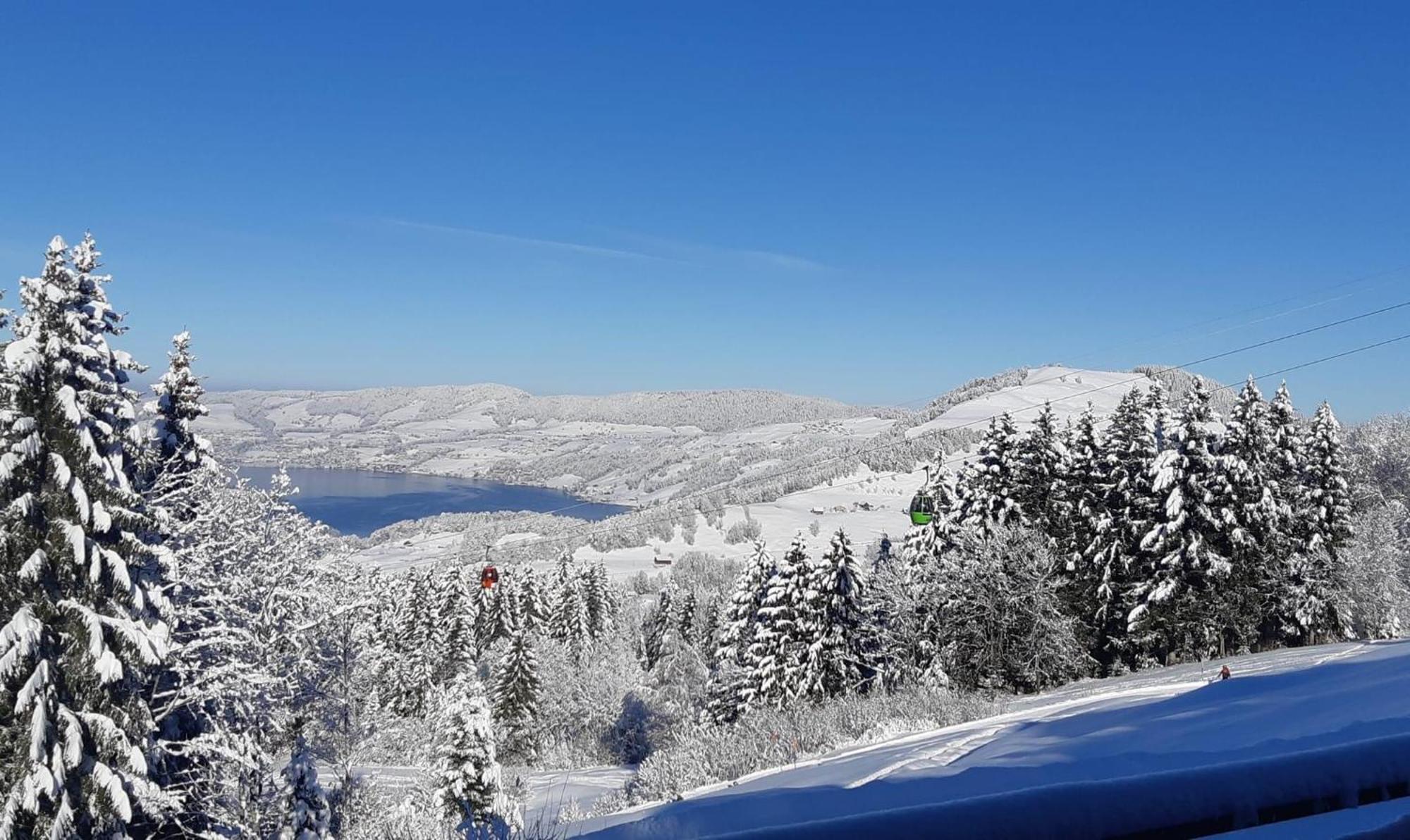 Lion Bb Swiss Homestay