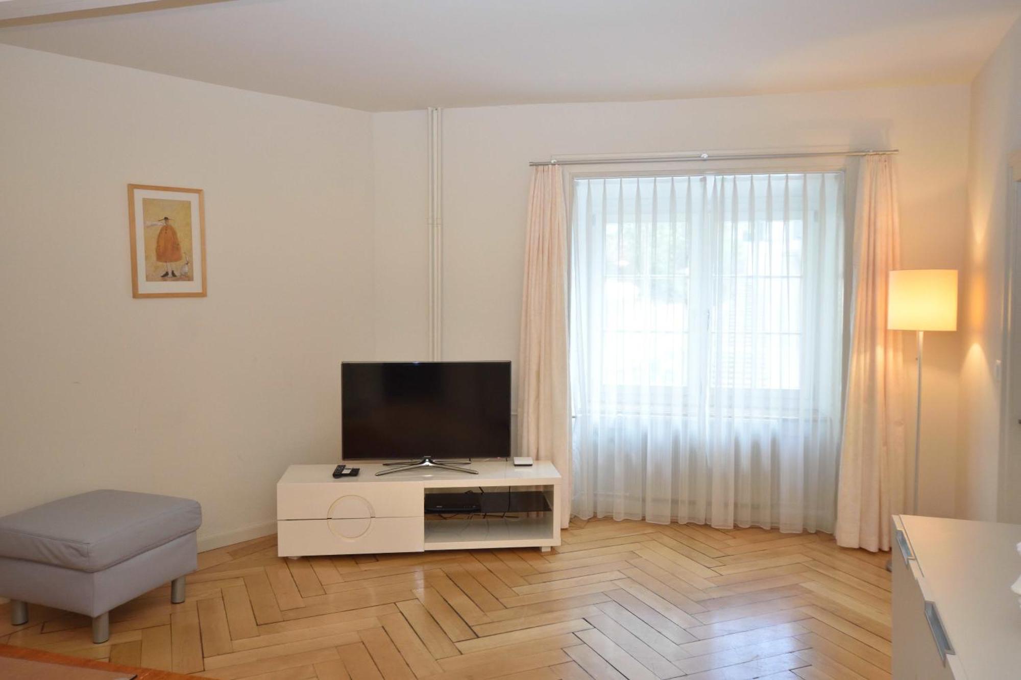 1br Flat In Historical Center - Symbol 3 Apartment