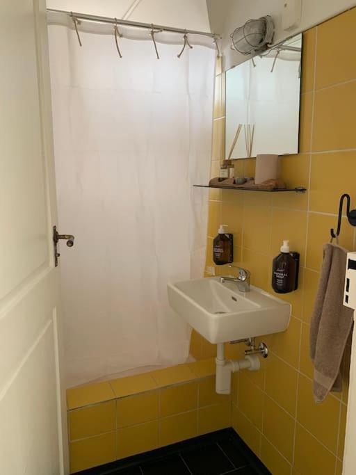 Apartment In Mit Dachterrasse // Langstrasse Zurich