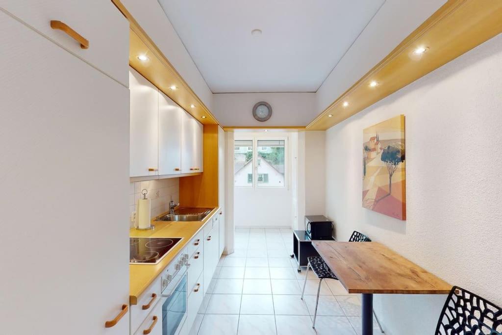 Executive 1 Bedroom Flat, Center Apartment Zurich