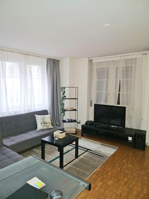 5-mins Walk To Main Station - Center Zurich