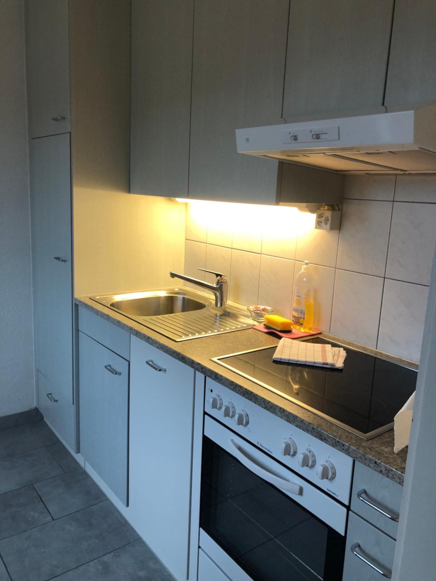 Apartment Cozy, Sunny, Center 1 Bedroom Flat Zurich