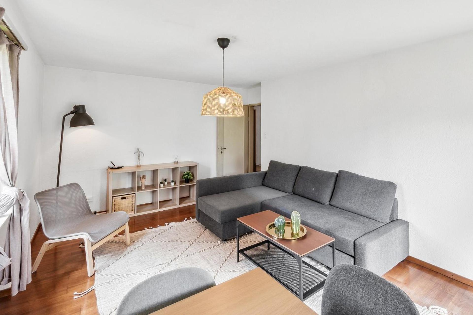 Altwiesenstrasse 144 Apartment