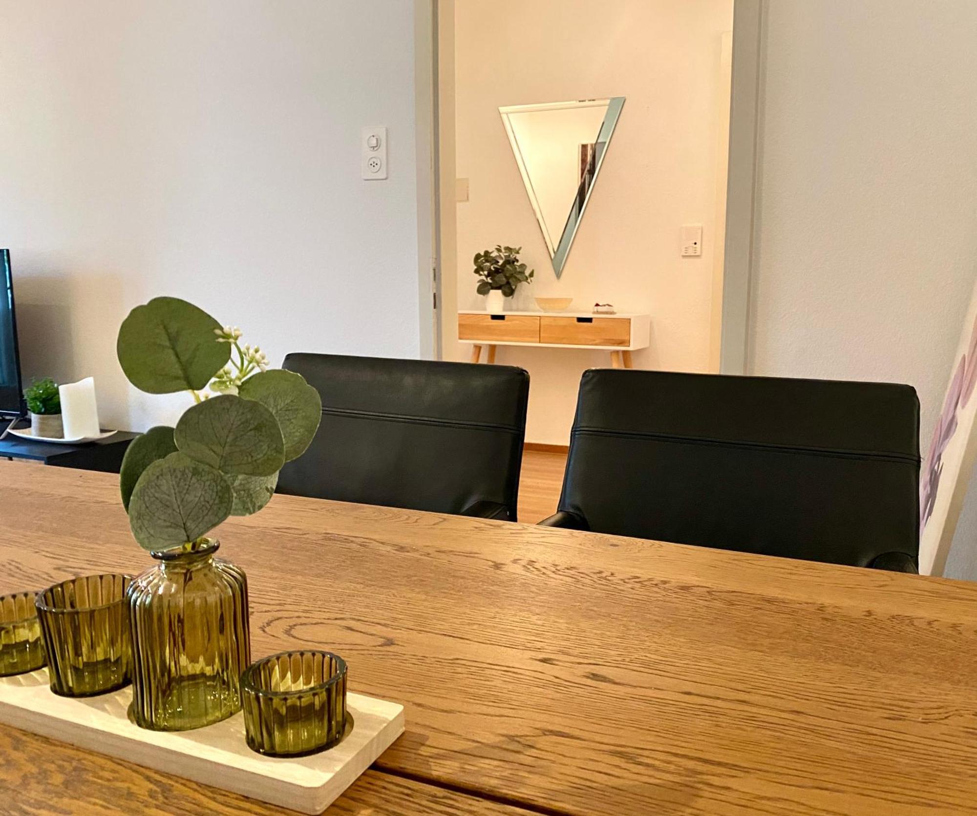 Modern Eingerichtete Stadtwohnung In Wollishofen Zurich