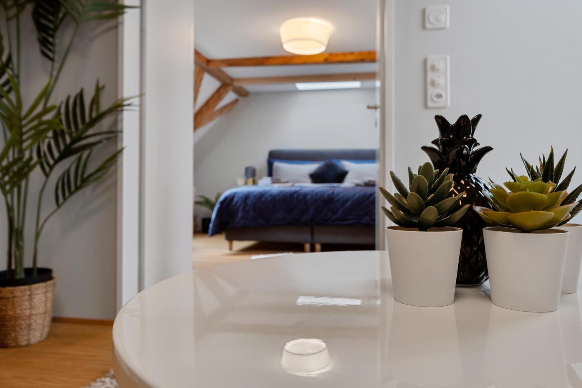 Apartment Boutiquepenthouse / Freeparking / Kingsuite / Privaterooftopterrace