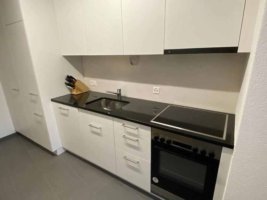 Great 2 Bedroom Flat In The Center - Mainau 12 Apartment Zurich