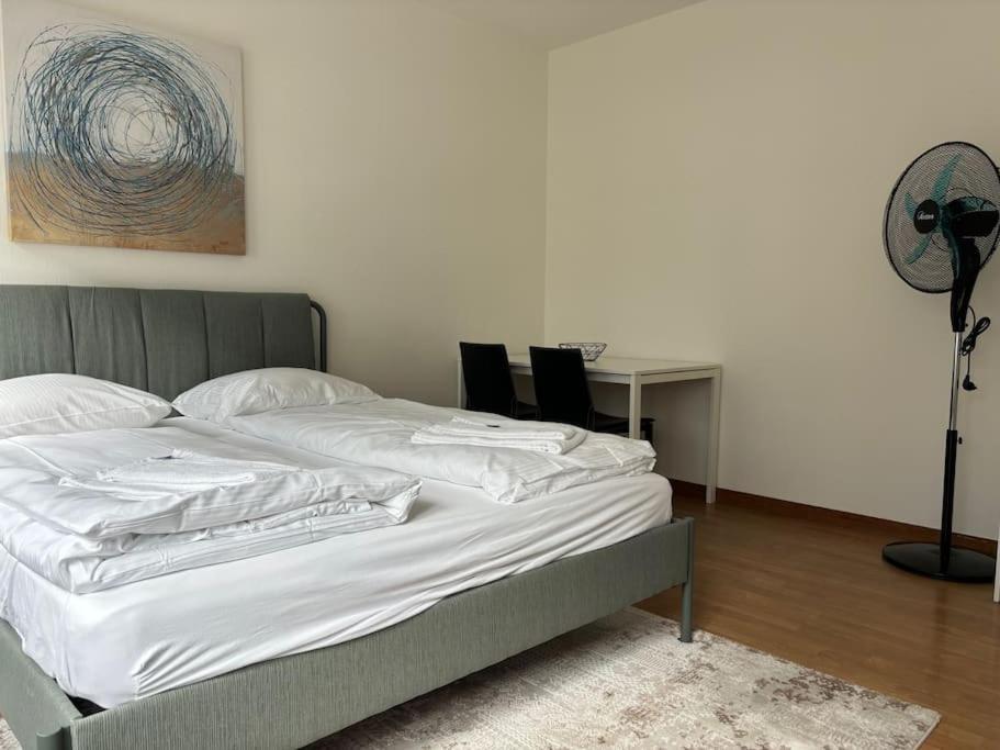 Live In The Center - Cross 5 Apartment Zurich