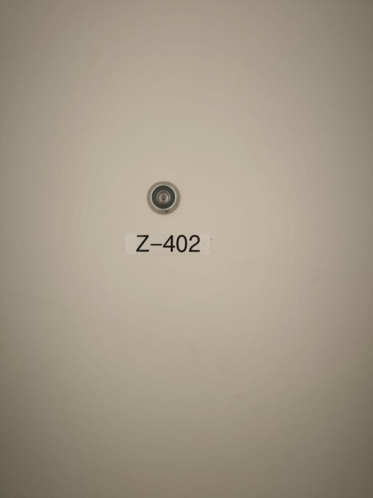 Apartment 3 Bedroom Duplex In Wiedikon