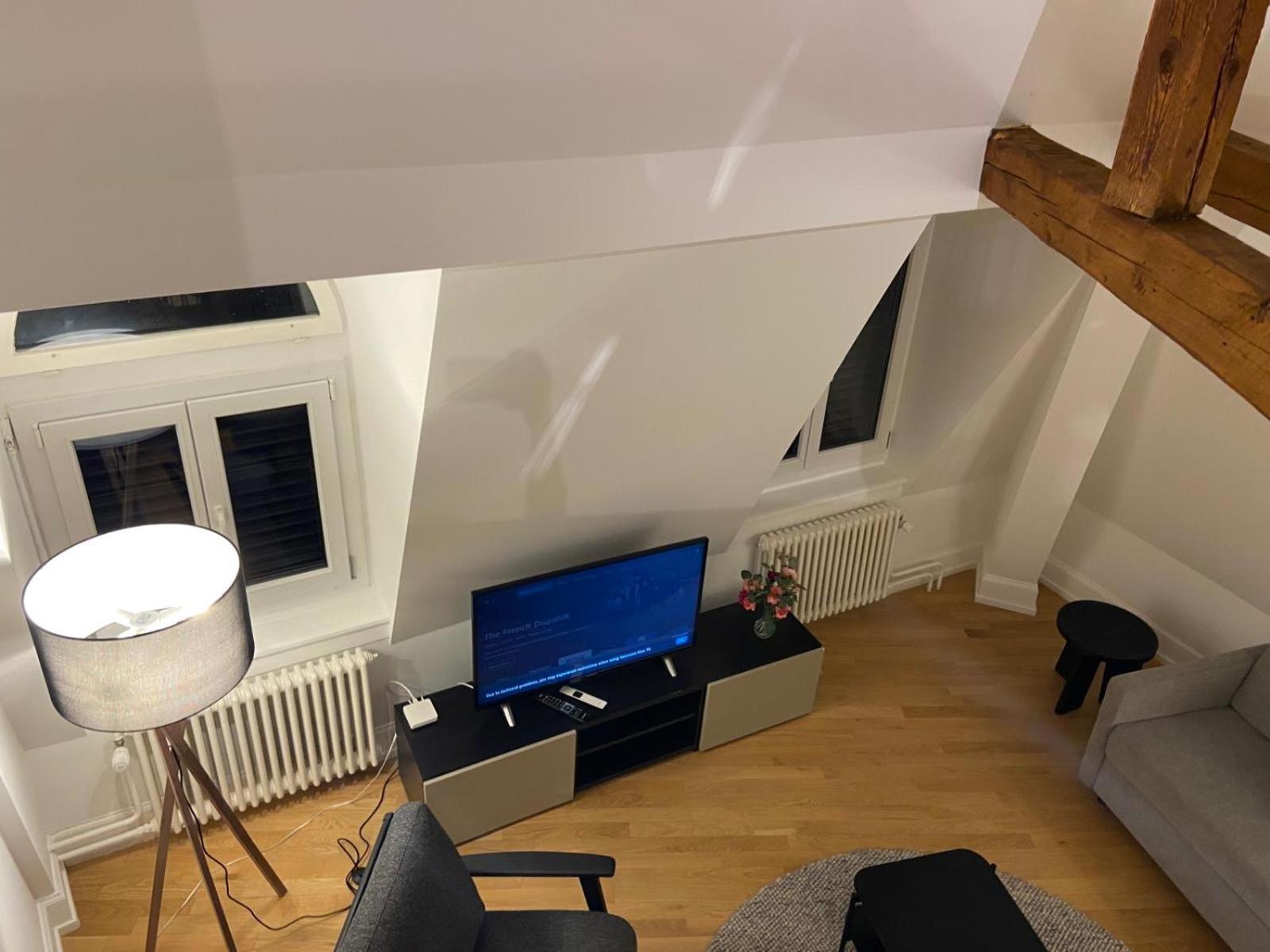 Apartment 3 Bedroom Duplex In Wiedikon *