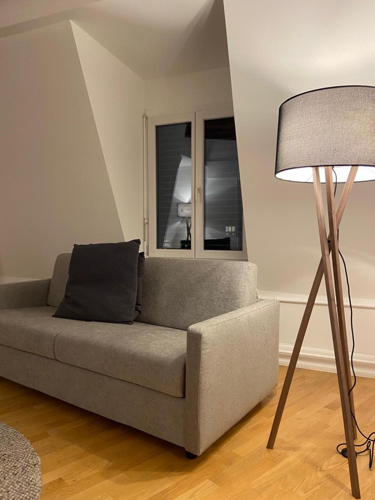 3 Bedroom Duplex In Wiedikon Apartment *