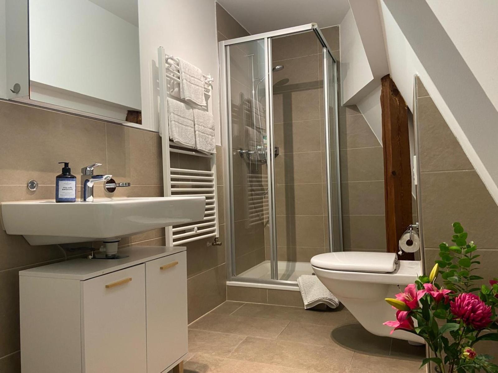 3 Bedroom Duplex In Wiedikon