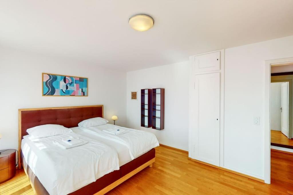 3br Flat Near Bellevue! - Sf6 Apartment Zurich