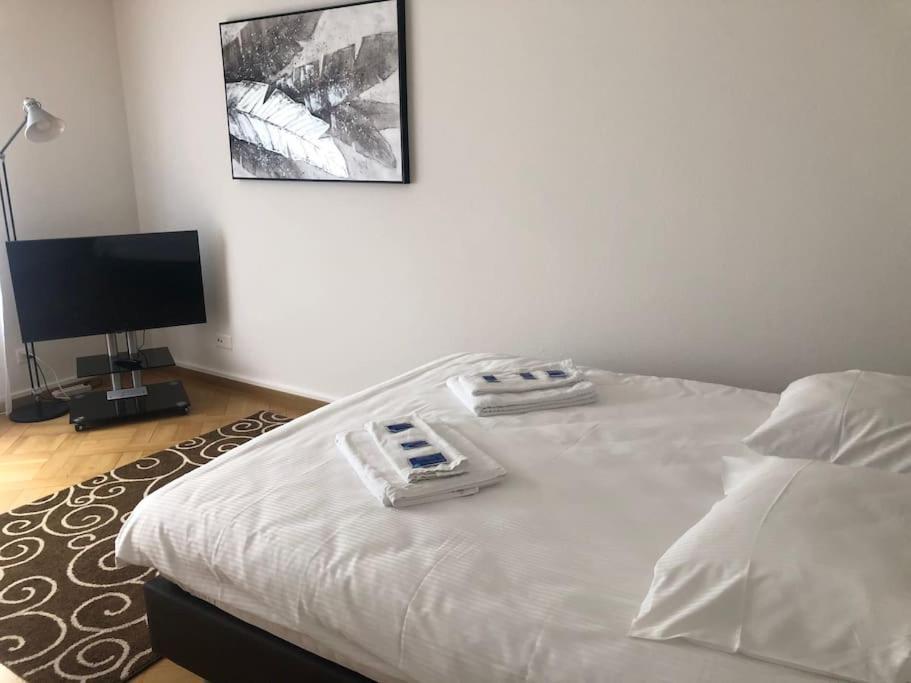 Apartment Bright In The Center - Greenyard 1