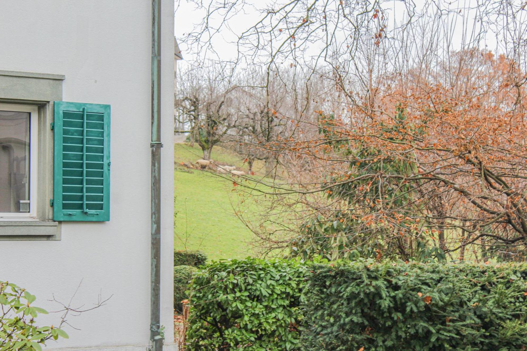 Homestay Enge Station - Private Jura Zurich
