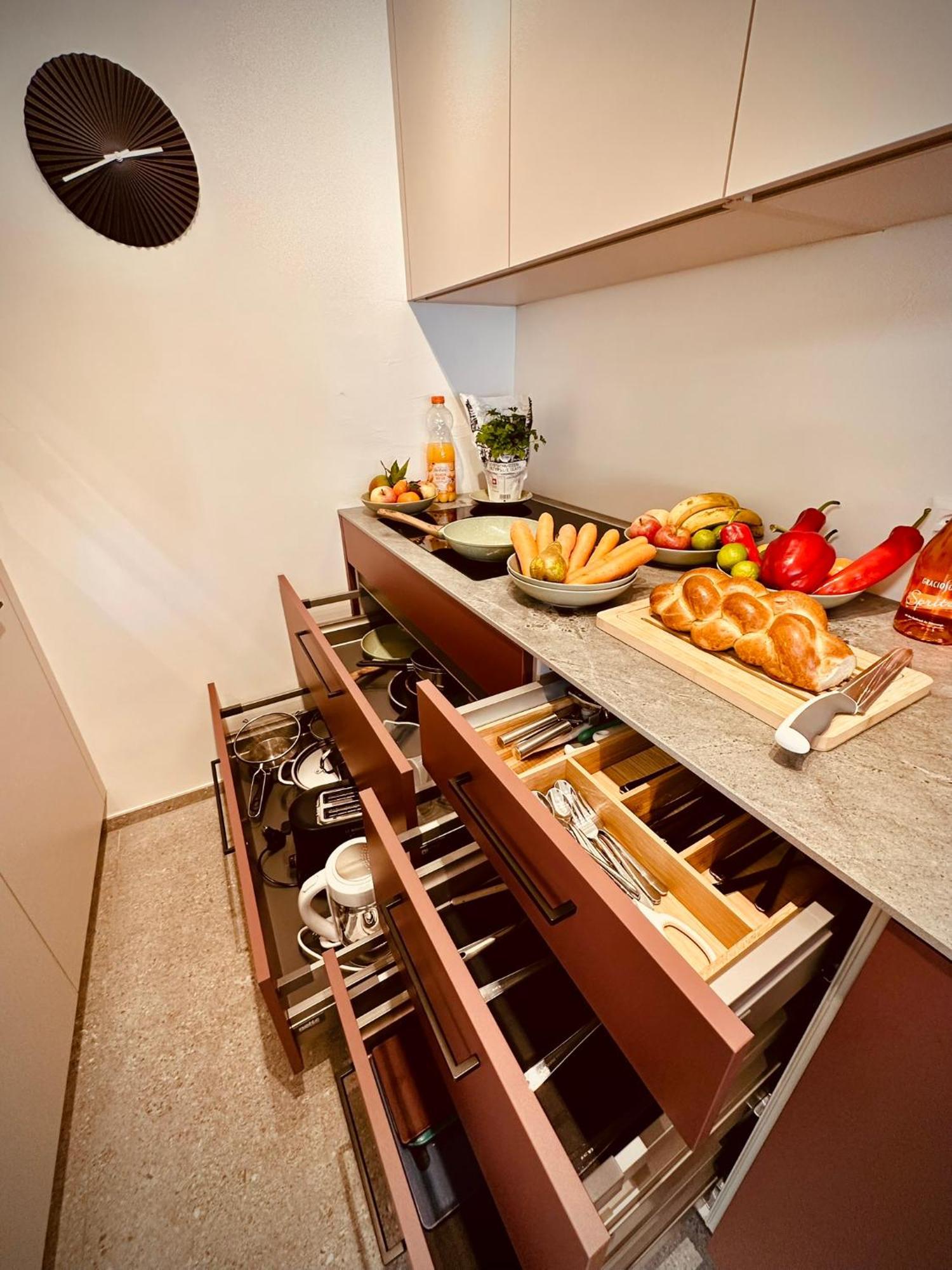 Apartment New With Sunny Terrace & Air Condition Zurich