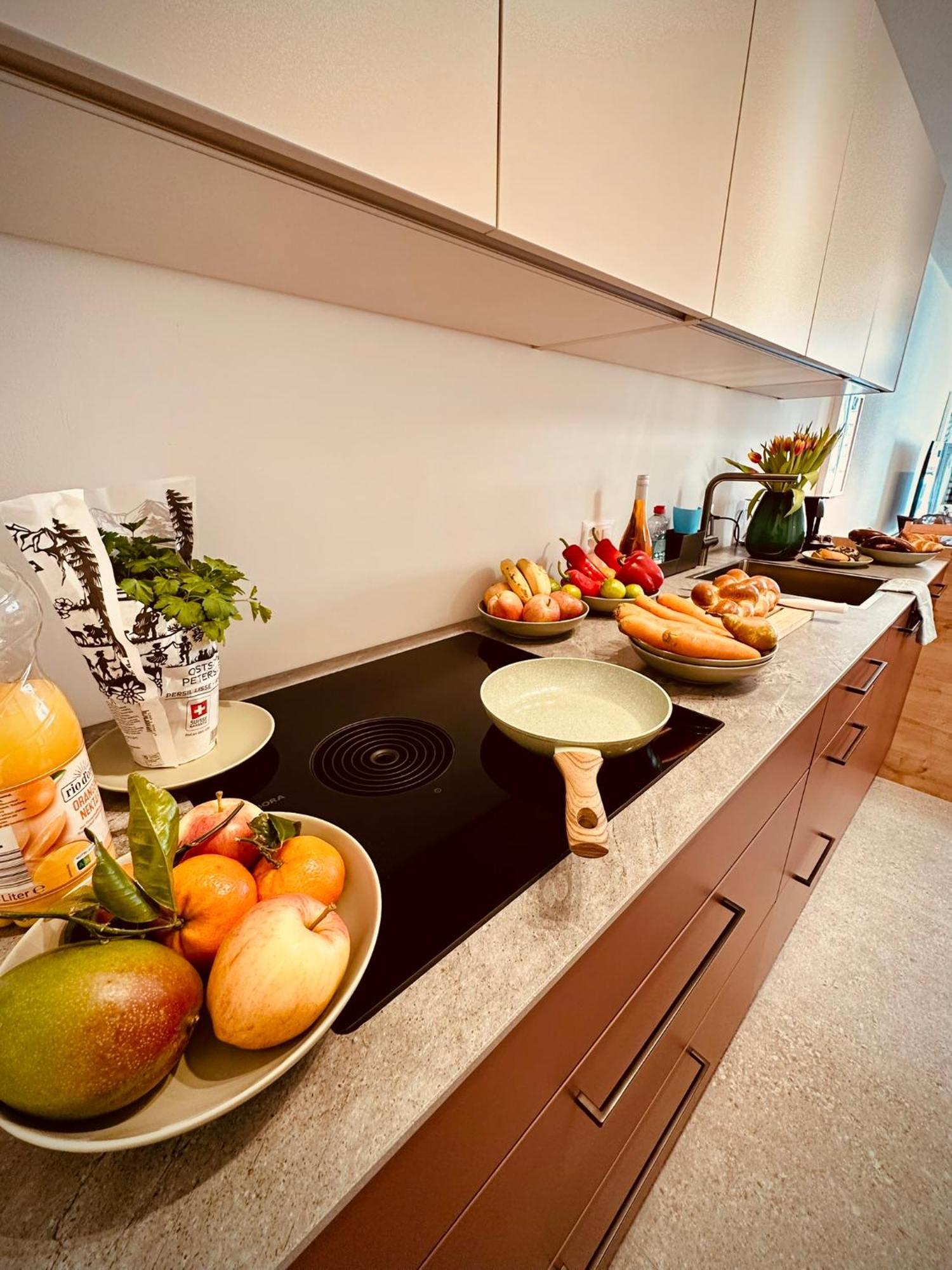 New With Sunny Terrace & Air Condition Apartment Zurich