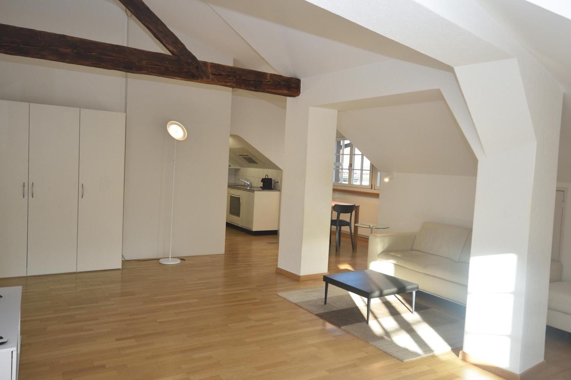 Loft In The Historical Center - Symbol 4 Apartment Zurich