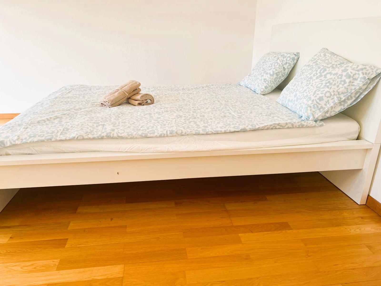 Large Center With Balcony Alt Apartment Zurich