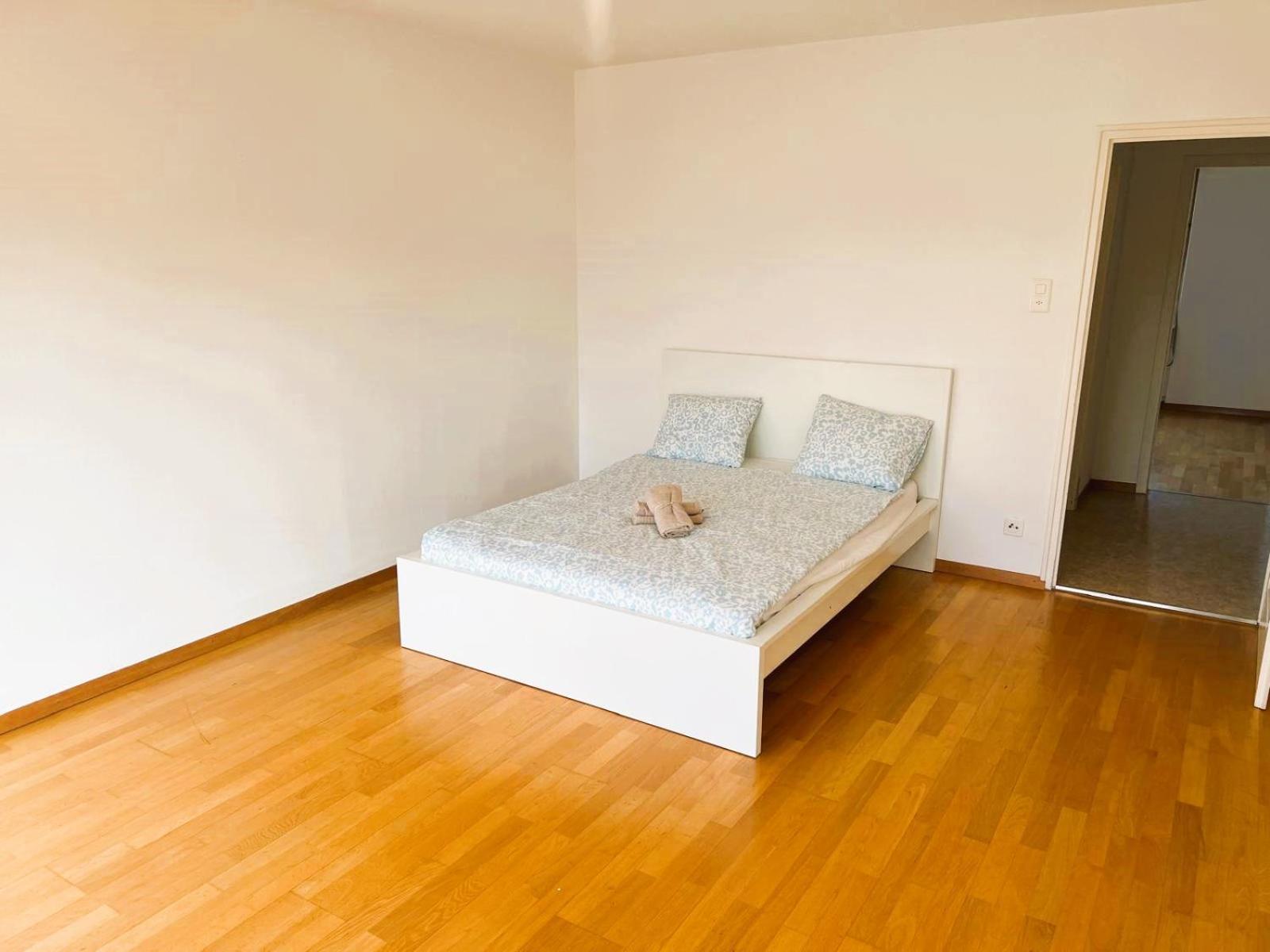 Large Center With Balcony Alt Apartment Zurich