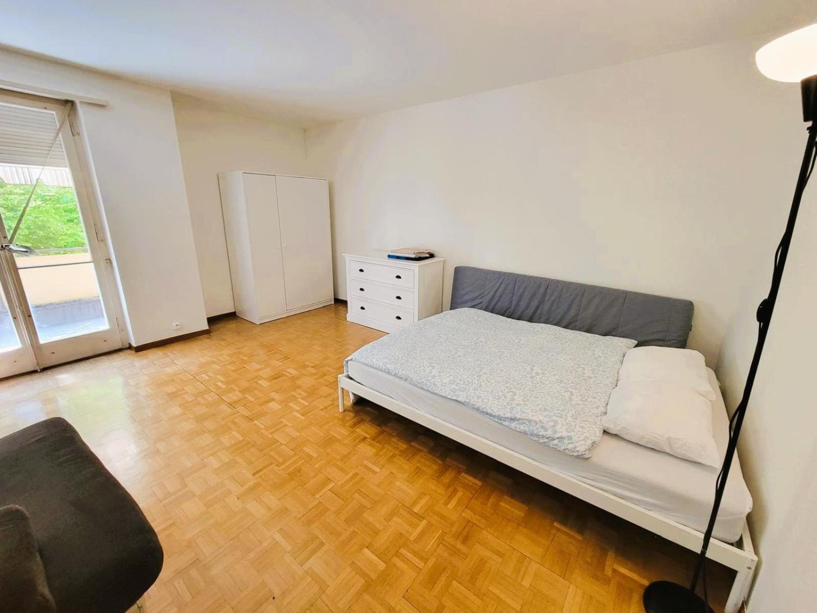 Apartment Huge Charming Center With Balcony & Garden View Rigi