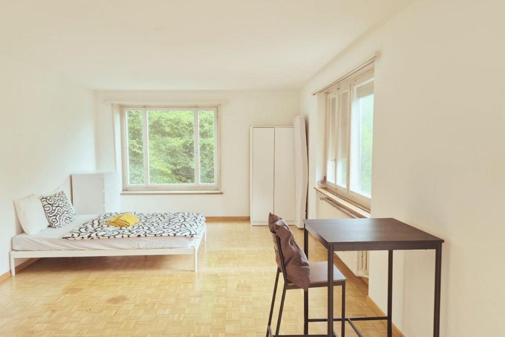 Apartment Huge Charming Center With Balcony & Garden View Rigi