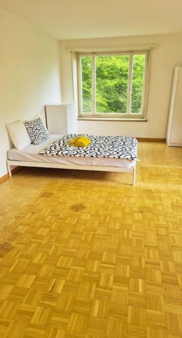 Huge Charming Center With Balcony & Garden View Rigi Apartment Zurich