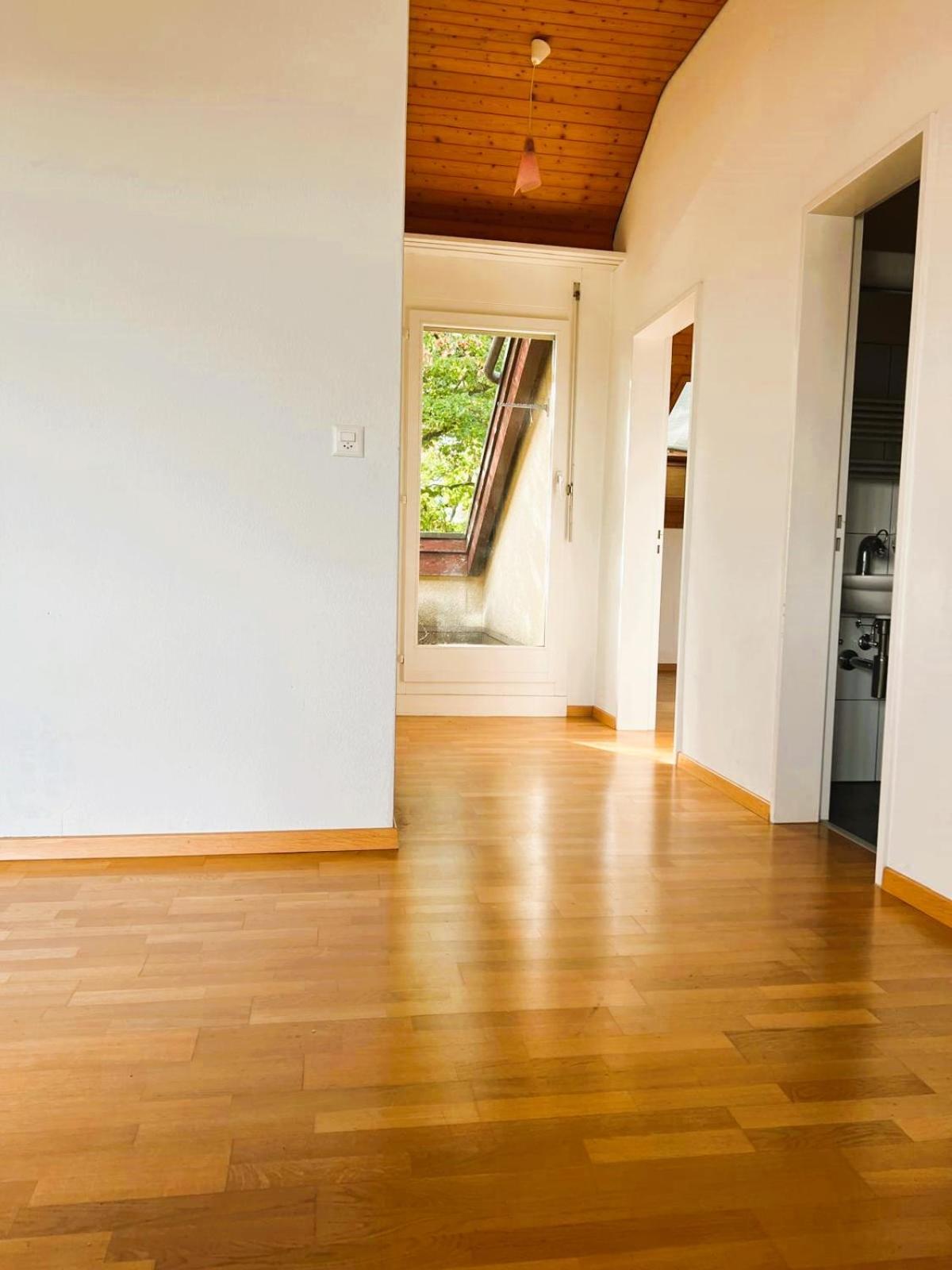 Apartment With View And Balcony In The Center Of Hwa Zurich