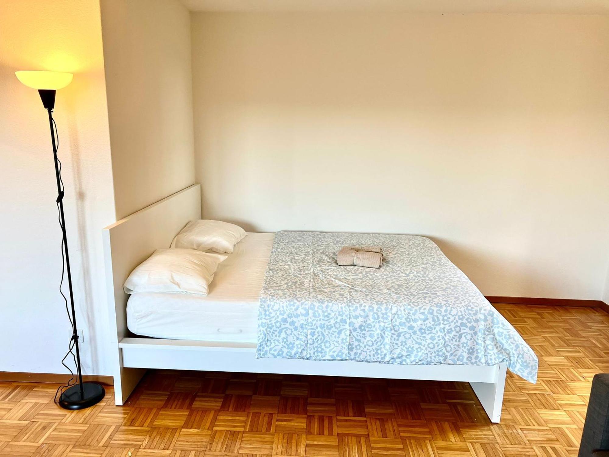 Apartment With View And Balcony In The Center Of Hwa Zurich