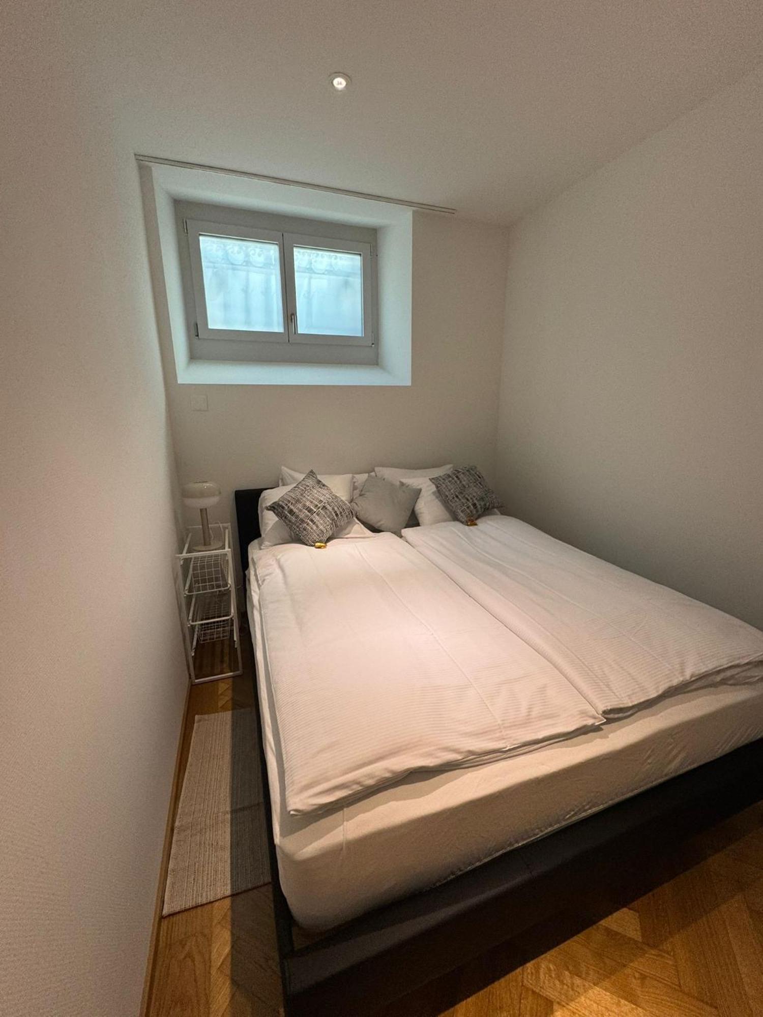 Apartment Station Apartment, 2 Bedroom & Sofabed Zurich