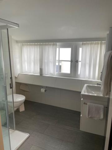 Apartment Penthouse Zürich