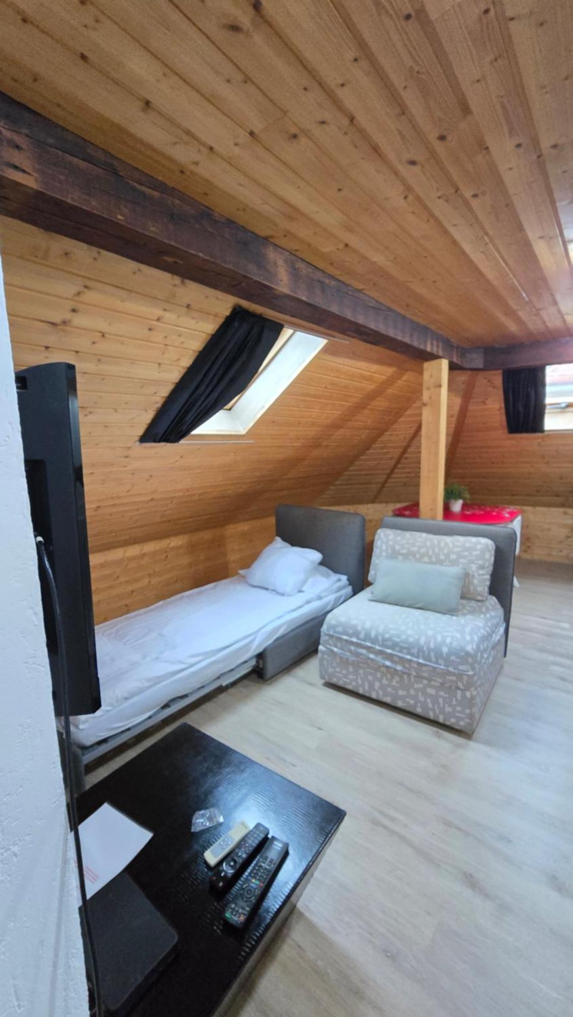 Apartment Attic Loft With Rooftop Terrace! Zurich