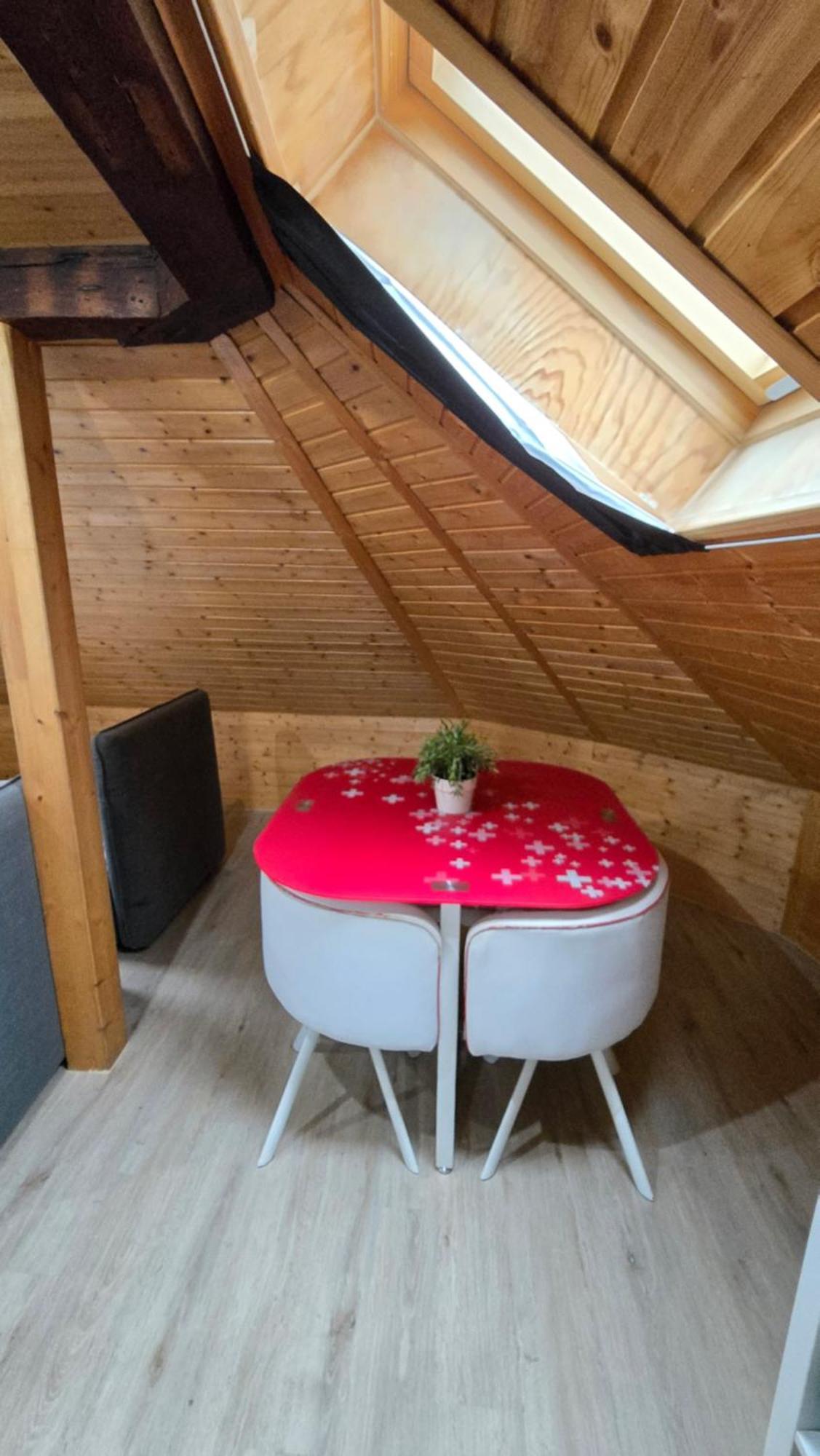 Attic Loft With Rooftop Terrace! Apartment *